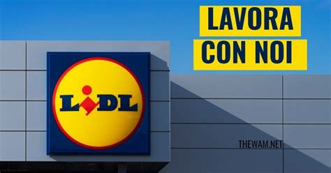 lidl lavora con noi candidatura spontanea